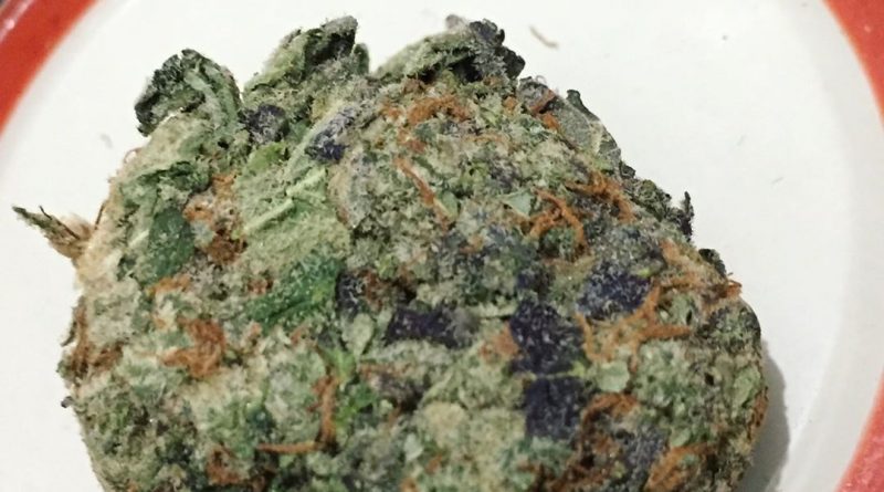 grand fire og strain review by jean_roulin_420 2