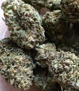 gsc strain review by jean_roulin_420 2