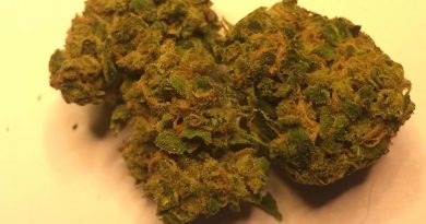 headband by pure sunfarms strain review by thecoughingwalrus