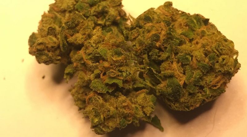 headband by pure sunfarms strain review by thecoughingwalrus