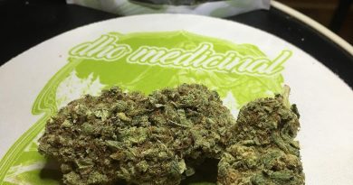 irish car bomb strain review by thecoughingwalrus