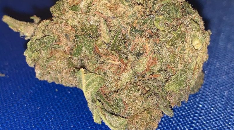 jack herer strain review by octpuffs