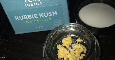 kubbie kush live budder by cresco concentrate review by nightmare_ro 2