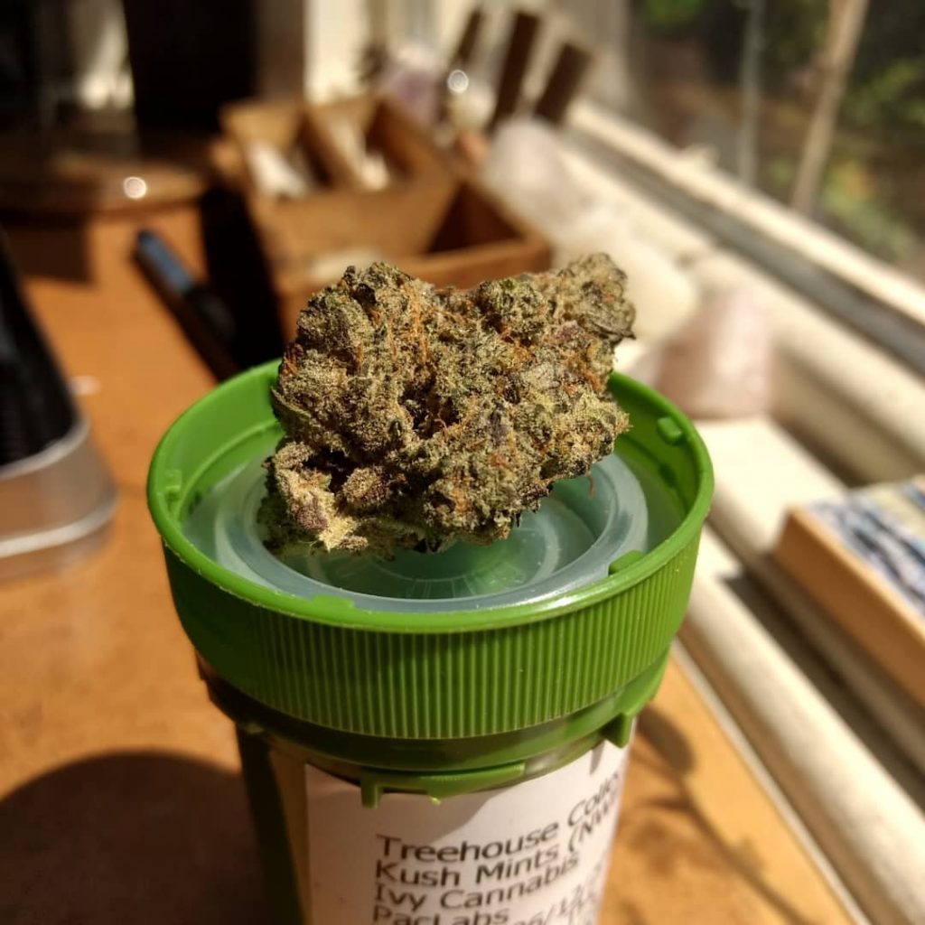 Strain Review Kush Mints (Bubba Kush x Animal Mints) The Highest Critic