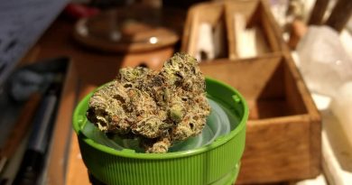 kush mints strain review by pdxstoneman