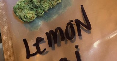 lemon thai from mary's secret strain review by thecoughingwalrus