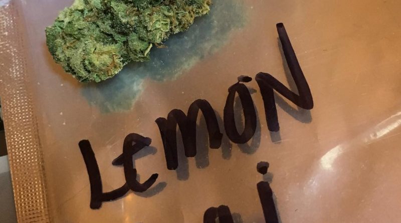 lemon thai from mary's secret strain review by thecoughingwalrus