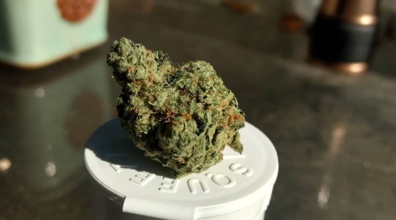 life coach by noble farms or strain review by pdxstoneman