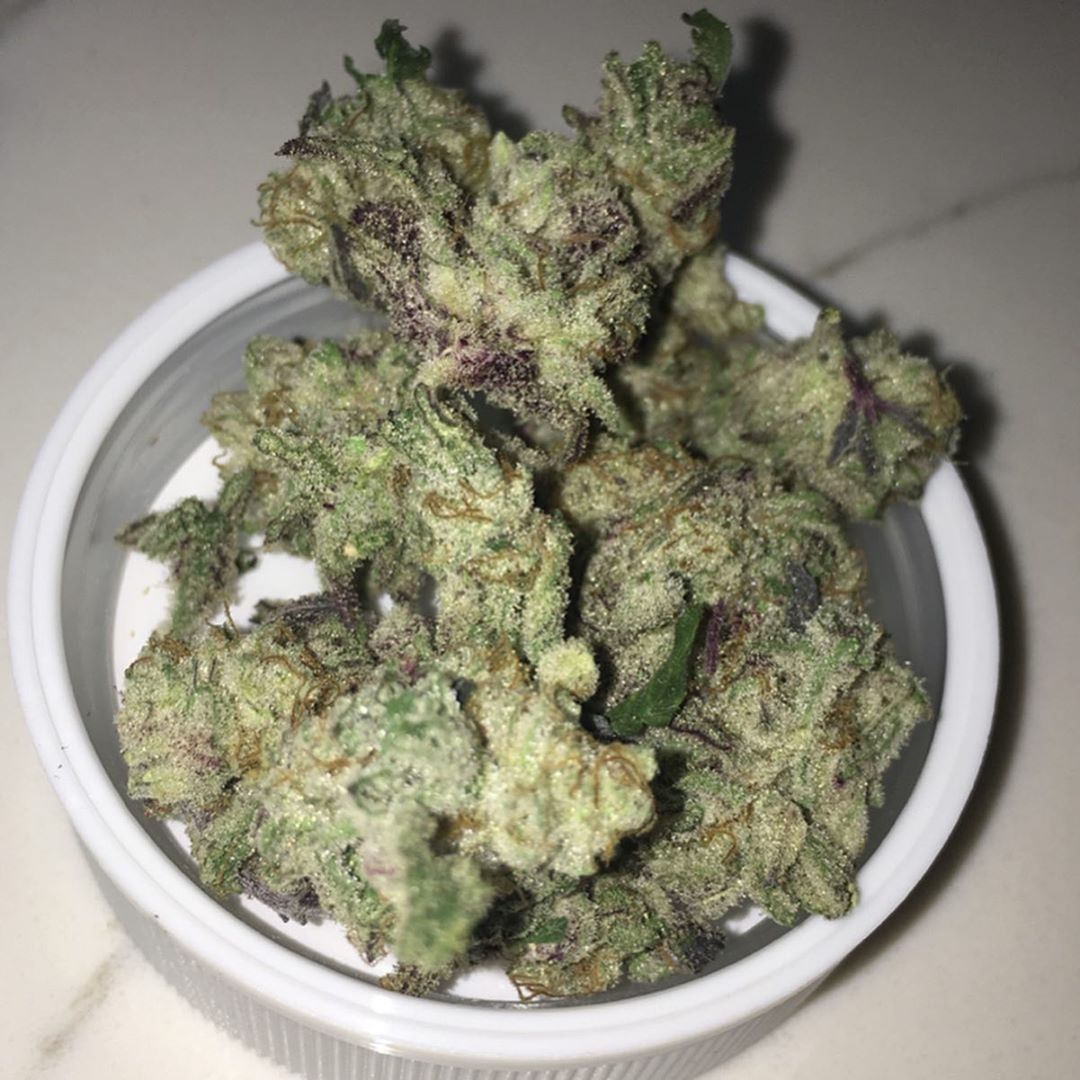 mac 1 by capulator from one plant fl strain review by indicadam