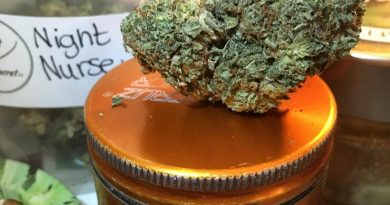 night nurse (bc hash plant x harmony x fire og) strain review by thecoughingwalrus
