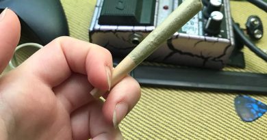 oregon noble pre-roll from surterra wellness strain review by 420tigress