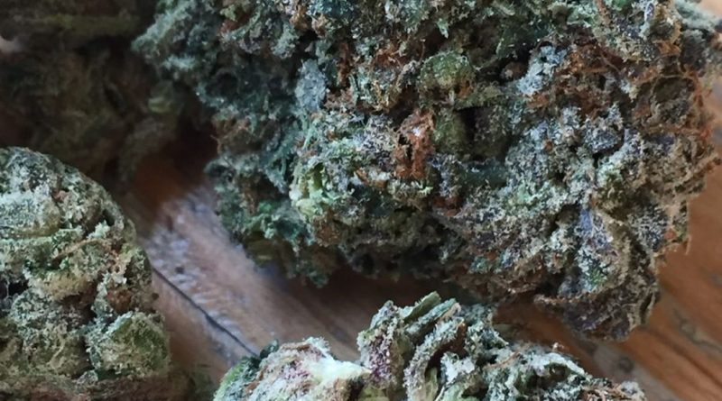 papa's og strain review by jean_roulin_420 1