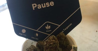 pause by tokyo smoke strain review by thecoughingwalrus