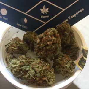 pause by tokyo smoke strain review closeup by the coughingwalrus