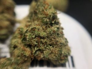 phone home by rythm strain review by shanchyrls
