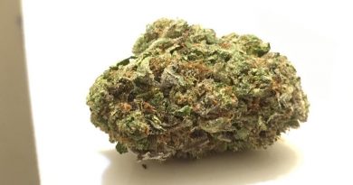 pink grease (bubba kush x pink kush) strain review by thecoughingwalrus