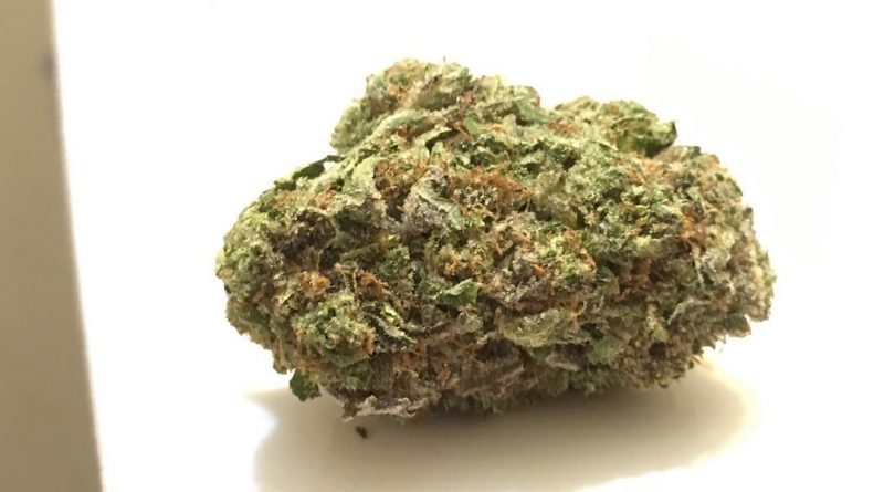 pink grease (bubba kush x pink kush) strain review by thecoughingwalrus