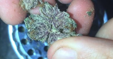 pink kush by aeriz strain review by nightmare_ro