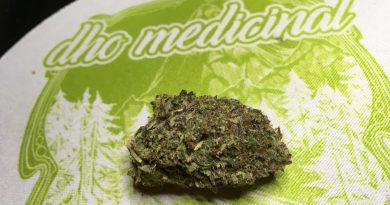 pink kush from dho medicinal strain review by thecoughingwalrus