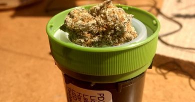 platinum cake from pdx organics strain review by pdxstoneman