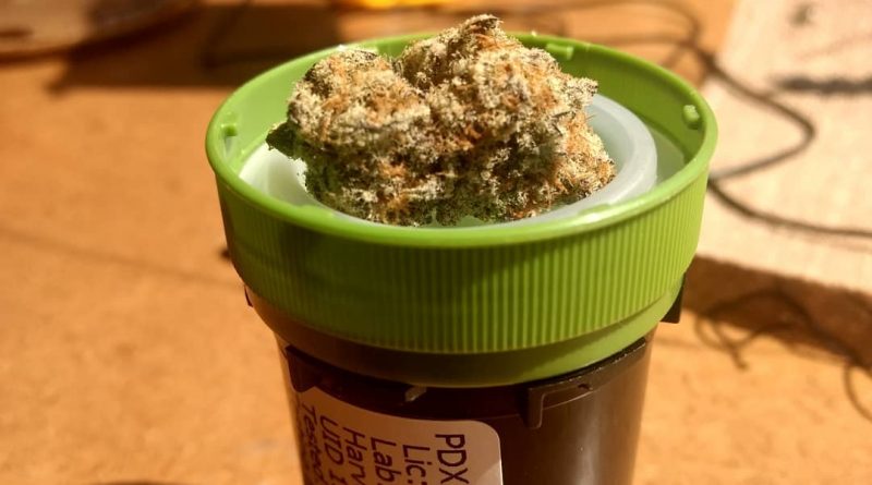 platinum cake from pdx organics strain review by pdxstoneman