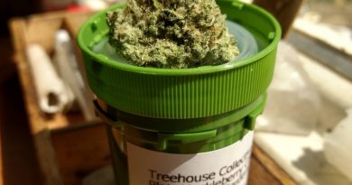 platinum huckleberry cookies from treehouse collective strain review by pdxstoneman