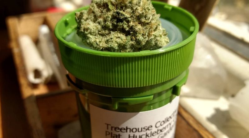 platinum huckleberry cookies from treehouse collective strain review by pdxstoneman