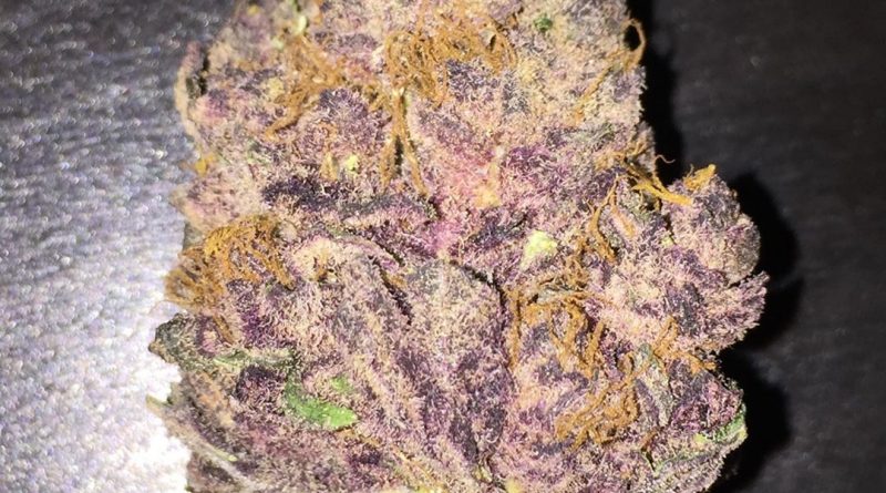 purple tangerine dream strain review by jean_roulin_420