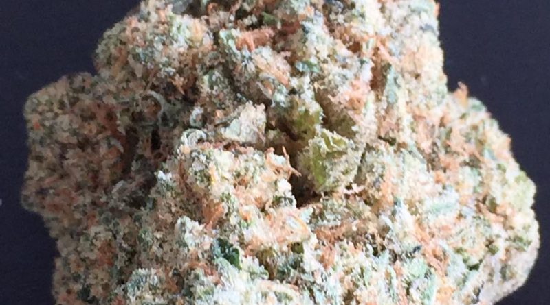samoa cookies strain review by jean_roulin_420