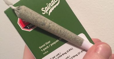 sensi star by spinach farms strain review by thecoughingwalrus