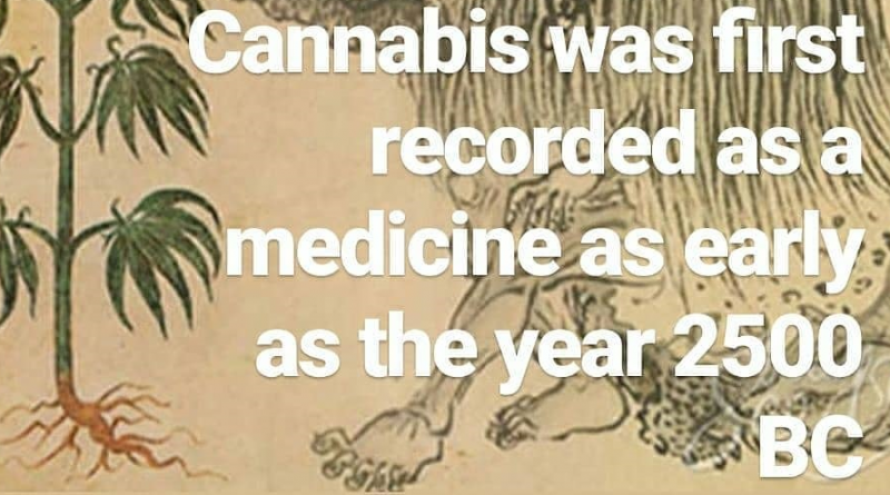 shen nung first documented cannabis as medicine as early as 2500 bc