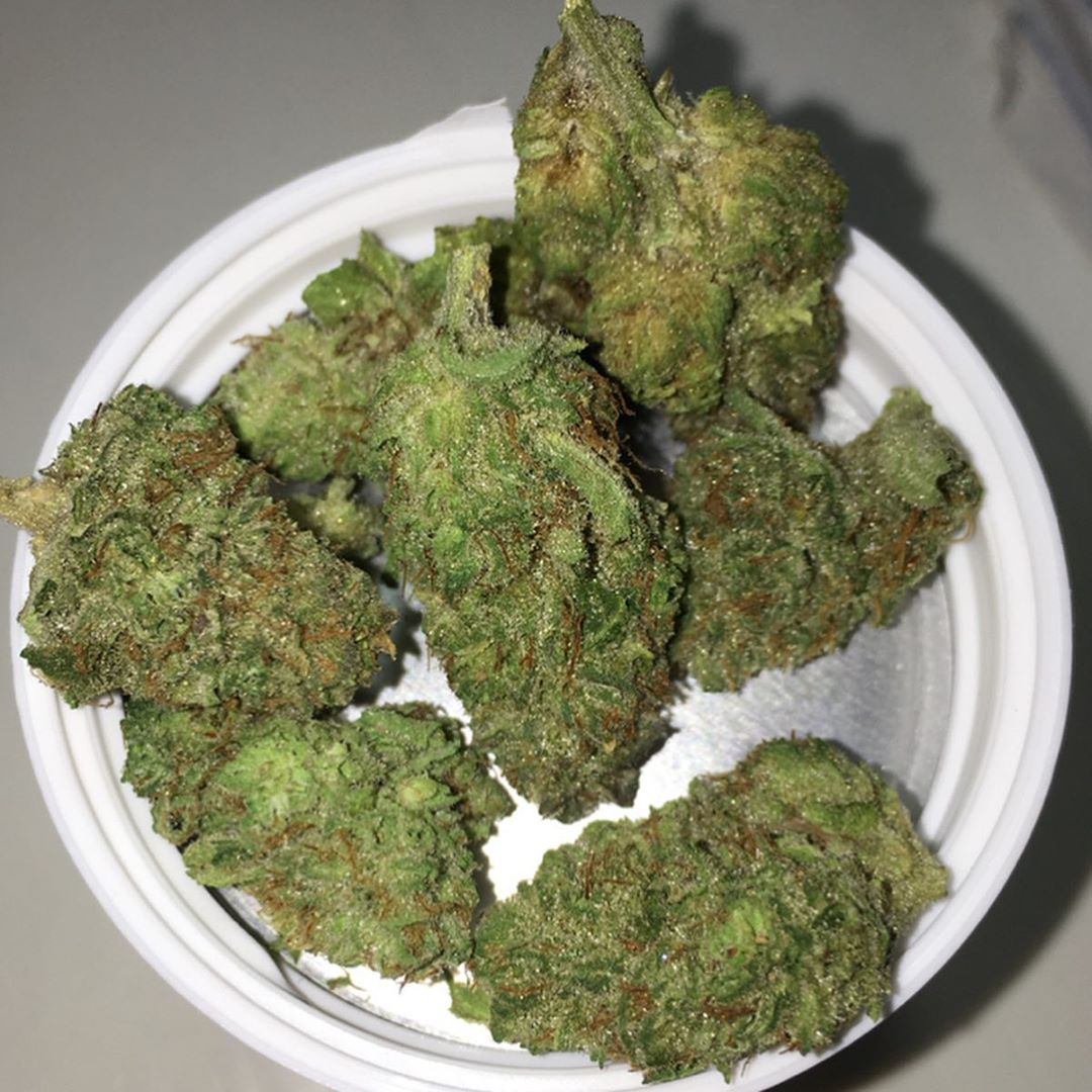 shrieker from rise cannabis strain review by indicadam