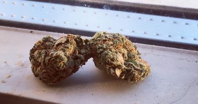 sour candy strain review by thecoughingwalrus