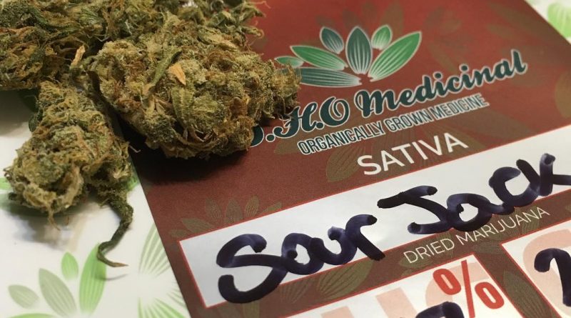sour jack (sour diesel x jack herer) strain review by thecoughingwalrus