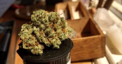 south african rose by kgb farms strain review by pdxstoneman