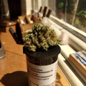 south african rose strain review by pdxstoneman