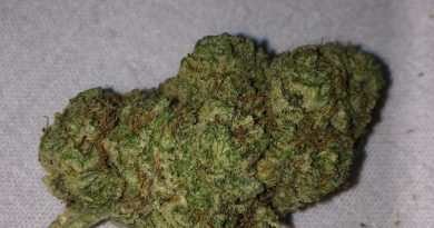 strawberry banana by dna genetics strain review by jean_roulin_420