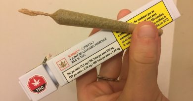 sunset preroll by lbs gold strain review by thecoughingwalrus