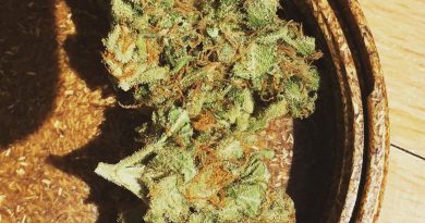 tangerine dream strain review by jean_roulin_420 1