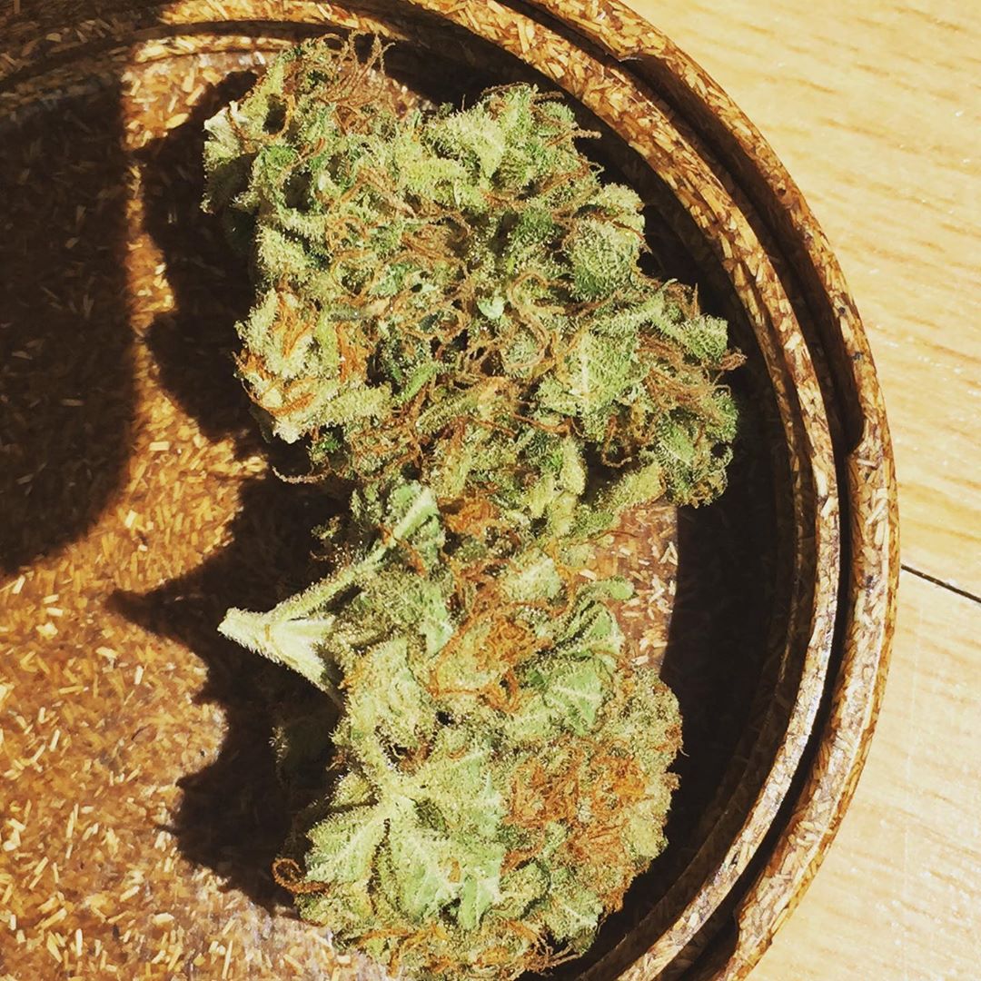 tangerine haze strain tangerine haze strain