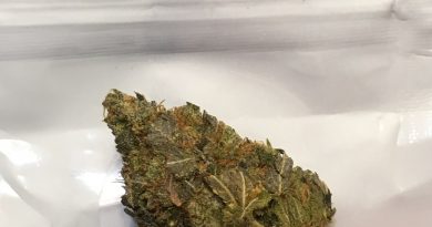tom ford pink kush from dho medicinals strain review by thecoughingwalrus