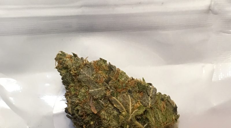 tom ford pink kush from dho medicinals strain review by thecoughingwalrus