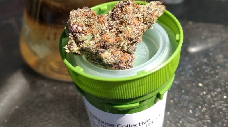 tropicana cookies from treehouse collective strain review by pdxstoneman