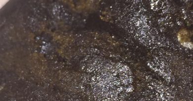 tutti frutti dry sift hash concentrate review by jean_roulin_420