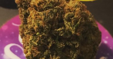 wappa strain review by thecoughingwalrus