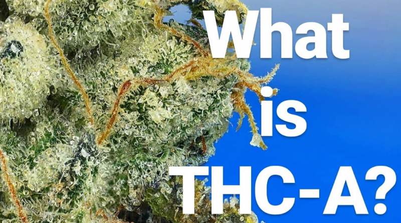 what is thca explainer by cannaquestions