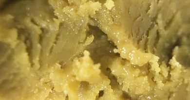 white buffalo rosin by blue river terps concentrate review by indicadam