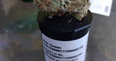 white russian by high noon cultivation strain review by pdxstoneman