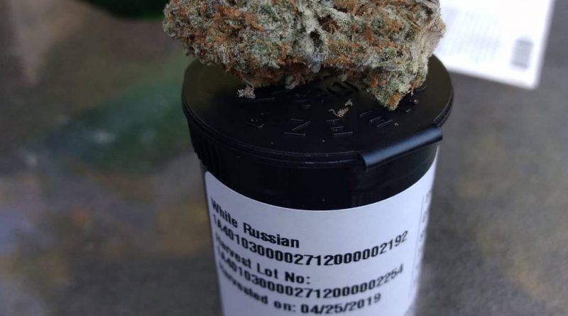 white russian by high noon cultivation strain review by pdxstoneman
