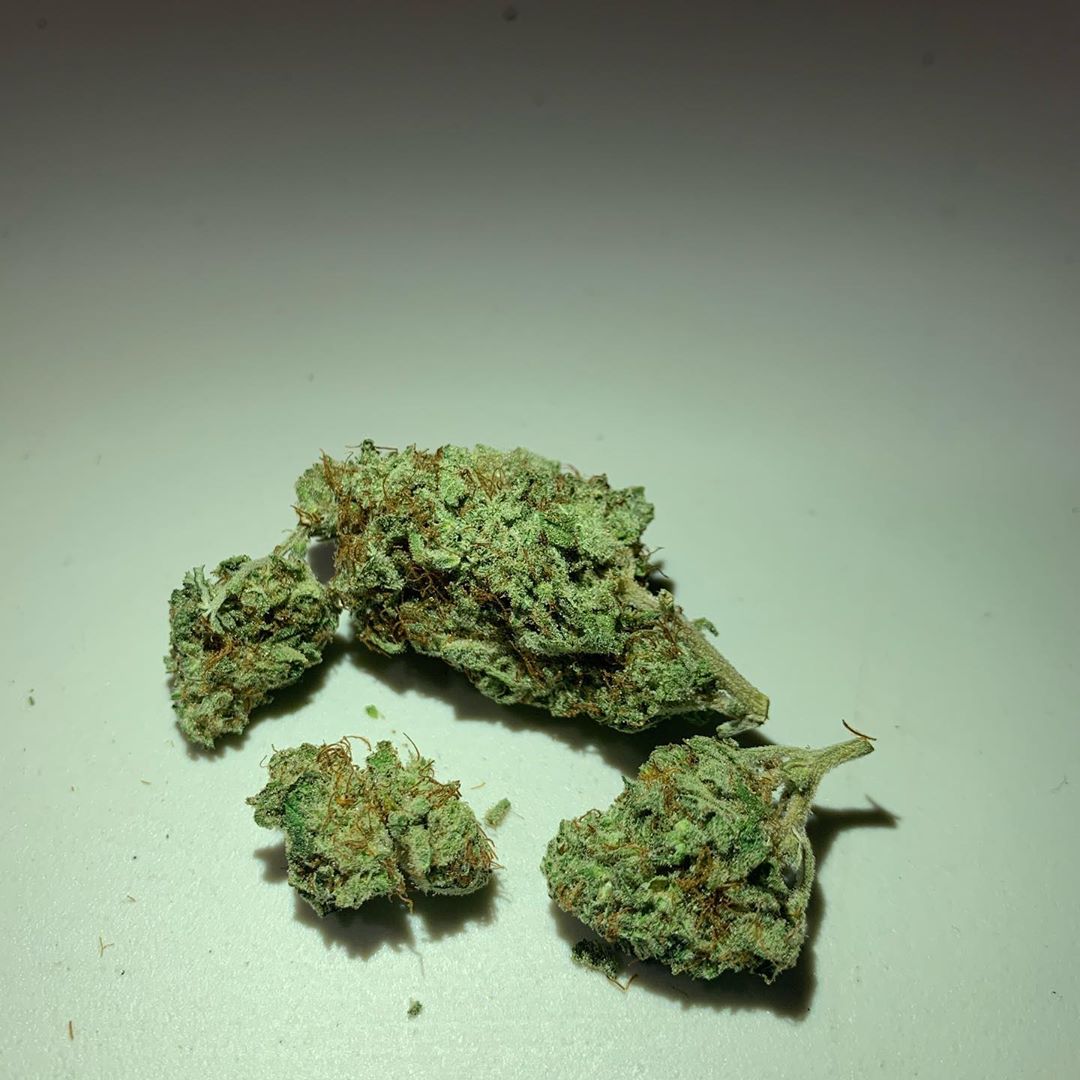 y griega strain review by octpuffs